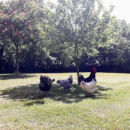 Апартаменты 4732 Aakirkeby - Grammegardsvej 6 *